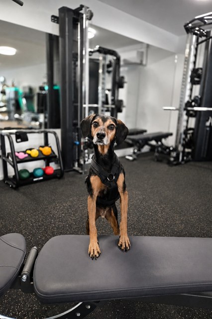 Tom — Feel-Good-Manager, Physio Humanitas Essen